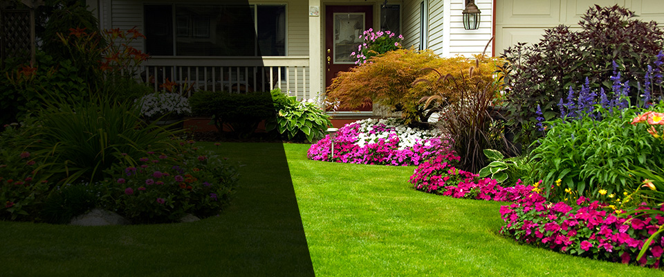 Earlysville Landscapers
