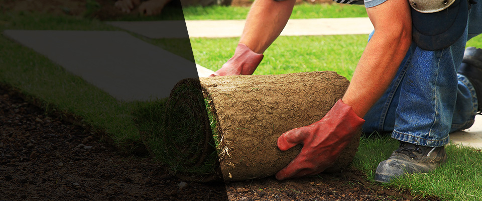 Earlysville Landscapers